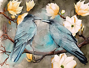 Watercolor picture of two ravens on the magnolia