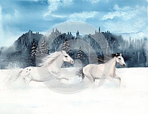 Watercolor picture of two white horses