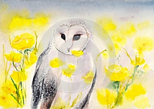 Watercolor snowy owl