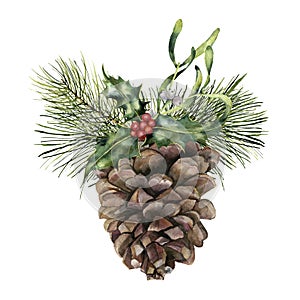 Watercolor pine cone with Christmas decor. Hand painted pine cone with christmas tree branch, holly and mistletoe