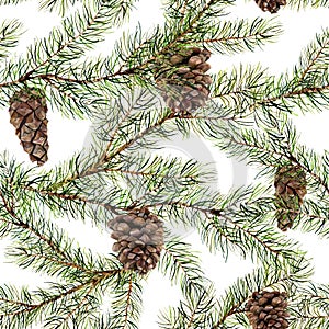 Watercolor pine tree seamless pattern. Hand painted fir branch with pine cone isolated on white background. Botanical