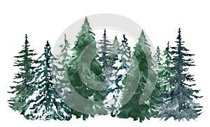 Watercolor pine trees background. Banner with hand painted evergreen forest, isolated. Snow winter wonderland illustration