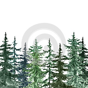 Watercolor pine trees background. Banner with hand painted spruce forest, isolated. Winter wonderland illustration for Christmas photo