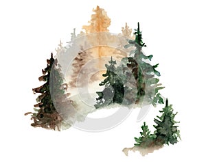 Watercolor pine trees illustration isolated on white background