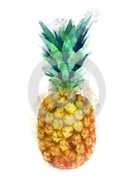 Akvarel ananas 