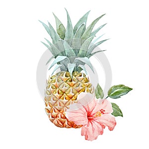 Akvarel ananas 