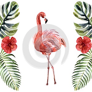 Watercolor pink flamingo isolated on a white background
