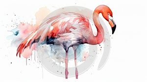 Watercolor pink flamingo isolated on white background. Generative AI