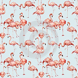 Watercolor pink flamingo seamless pattern. Hand painted bright exotic birds isolated on blue background. Wild life