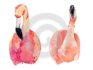 watercolor pink flamingos
