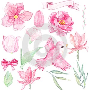 Watercolor pink floral  with bird elements drawing