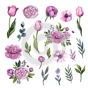 Watercolor pink flowers set on the white background