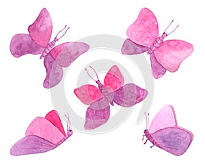 Watercolor pink flying butterflies set. Hand drawn colorful violet fairy moths isolated on white background. Colorful illustration