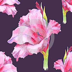 Watercolor pink gladiolus bud, seamless pattern