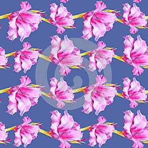 Watercolor pink gladiolus bud, seamless pattern