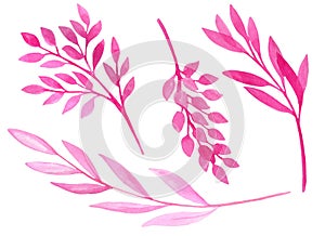 Watercolor pink leaves and tree branches set. Hand drawn plants isolated on white background. Romantic collection of elements for