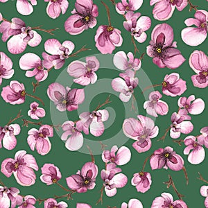 Watercolor pink orchids on green background pattern