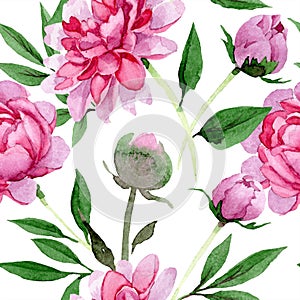 Watercolor pink peony flower. Floral botanical flower. Seamless background pattern.