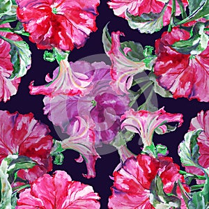 Watercolor pink petunia with leaves. Hand painted seamless pattern on a violet background..