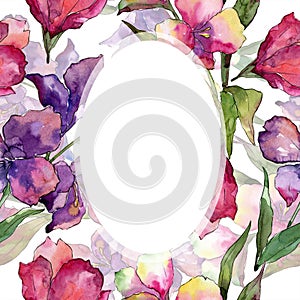 Watercolor pink and purple alstroemeria flower. Floral botanical flower. Frame border ornament square.