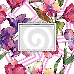 Watercolor pink and purple alstroemeria flower. Floral botanical flower. Frame border ornament square.