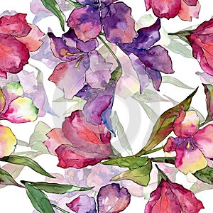 Watercolor pink and purple alstroemeria flower. Floral botanical flower. Seamless background pattern.