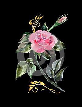 Watercolor pink rose with decor. Hand painted flower on a black background.