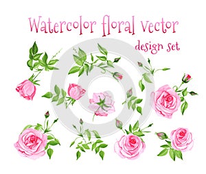 Watercolor pink roses vintage vector design set