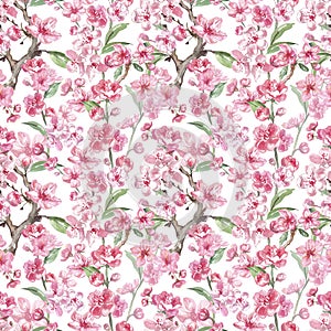 Watercolor plum blossom seamless pattern. Cherry flowers and tree branches print