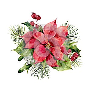 Watercolor poinsettia with Christmas floral decor. Hand painted traditional flower and plants: holly, mistletoe, berries