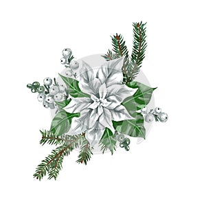 Watercolor Poinsettia. Christmas star. Christmas flower isolated on a white background