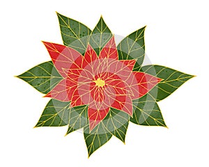 Watercolor poinsettia flower digital painting style on white background