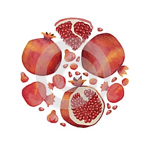 Watercolor pomegranate fruits with seeds and flowers clipart. Botanical illustration set.