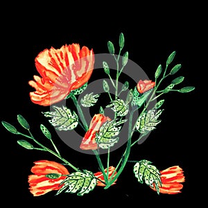 Watercolor poppies-2. Beautiful pattern for decoration and design. Exquisite design pattern for watercolor sketches of