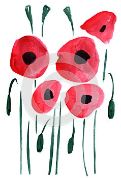 Watercolor poppy flowers impression painting