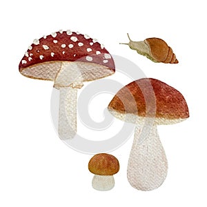 Watercolor porcini fly agaric mushroom snail set isolated on white