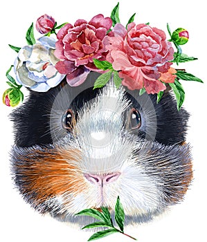 Watercolor portrait of Abyssinian guinea pig with flowers on white background