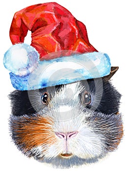 Watercolor portrait of abyssinian guinea pig with Santa hat on white background