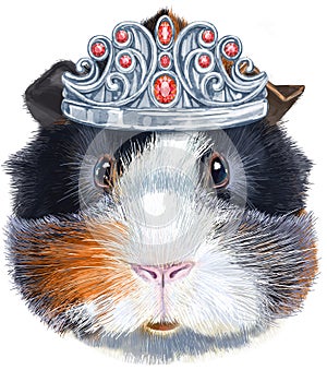 Watercolor portrait of abyssinian guinea pig in silver crown on white background