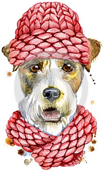 Watercolor portrait of airedale terrier dog with pink knitted hat