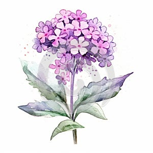 Watercolor Portrait Of Beautiful Purple Lilac Flowers