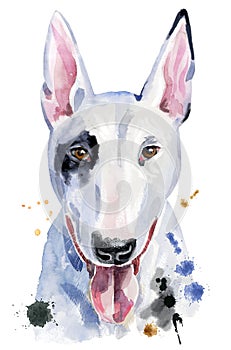 Watercolor portrait of bull terrier