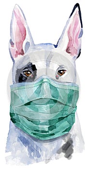 Watercolor portrait of bull terrier in medical mask