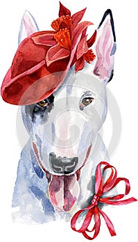 Watercolor portrait of bull terrier in red hat