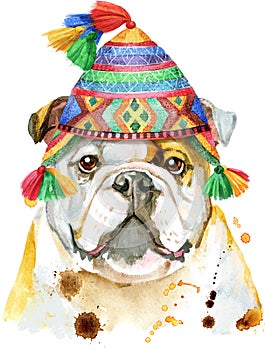 Watercolor portrait of bulldog in chullo hat