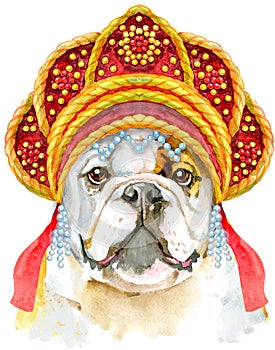 Watercolor portrait of bulldog in Russian national headdress kokoshnik