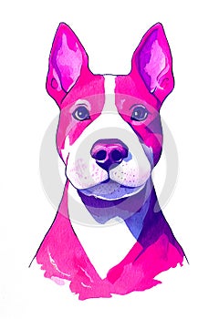 Watercolor portrait of cute Miniature Bull Terrier dog.