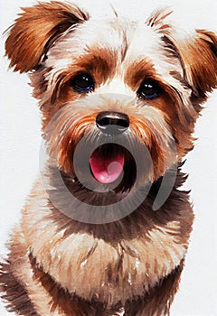 Watercolor portrait of cute Norfolk Terrier dog.