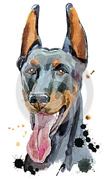 Watercolor portrait doberman