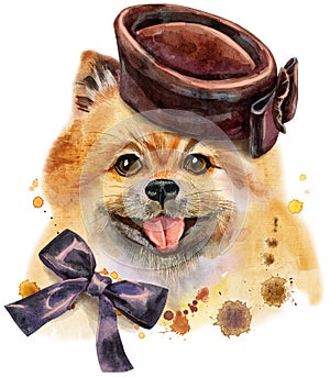 Watercolor portrait of dog pomeranian spitz in brown hat